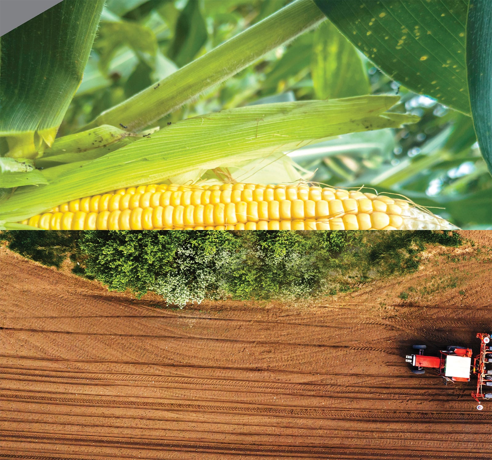 Phosagro’s strategy builds upon sustainability principles as one of its key elements
